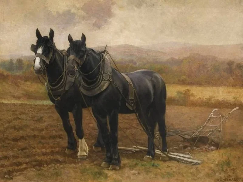 1850-Gustave Mardoché Neymark - Cavalli da tiro dello Shropshire